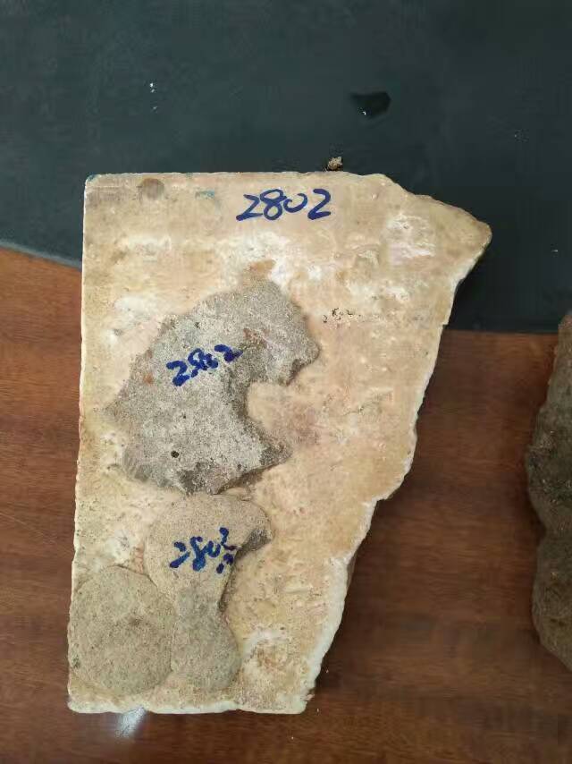 水下固化劑粘接效果圖 水下固化劑粘接效果圖