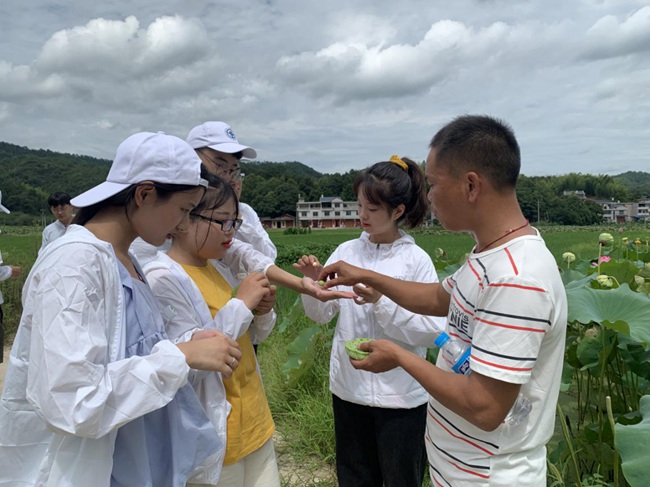隊(duì)員參觀蓮子生產(chǎn)基地。福建船政交通職業(yè)學(xué)院供圖