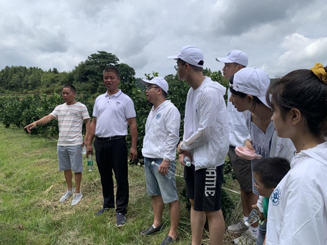實(shí)踐隊(duì)在村主任伍玉炎帶領(lǐng)下參觀贛南臍橙種植園。福建船政交通職業(yè)學(xué)院供圖